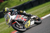brands-hatch-photographs;brands-no-limits-trackday;cadwell-trackday-photographs;enduro-digital-images;event-digital-images;eventdigitalimages;no-limits-trackdays;peter-wileman-photography;racing-digital-images;trackday-digital-images;trackday-photos